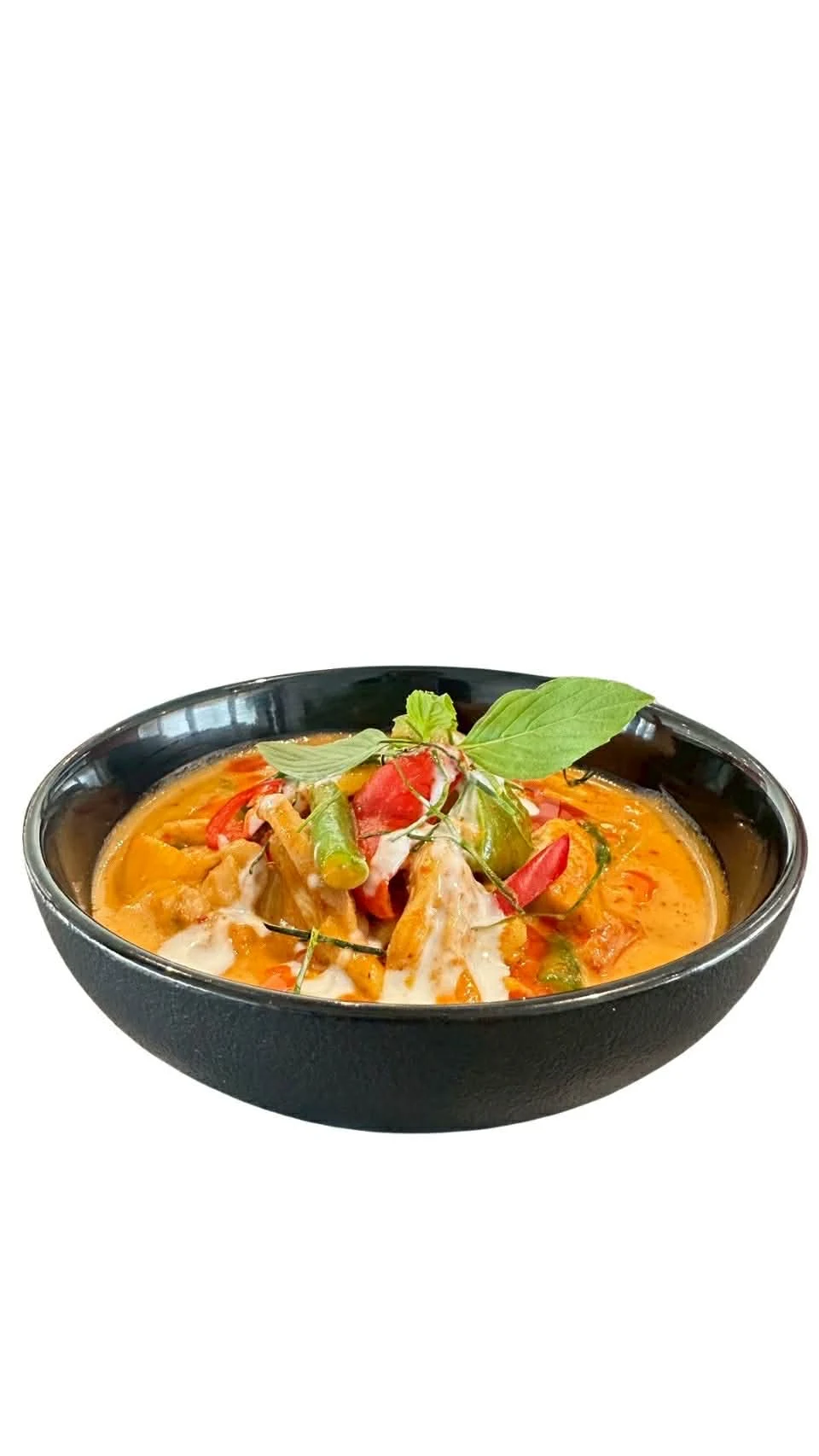 Panang photo from the curry menu at Towerhill Thai Restaurant and Cafe in Frankston South, Melbourne